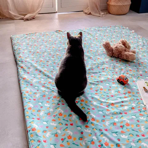 Chat gris assis au milieu de la surhousse géante vert d'eau à fruits, ours en peluche et petite voiture