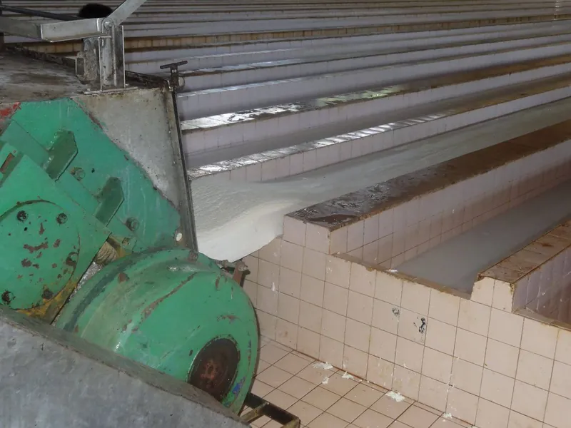 Des bacs de coulage remplis de latex blanc, à côté d'une machine verte, dans l'usine