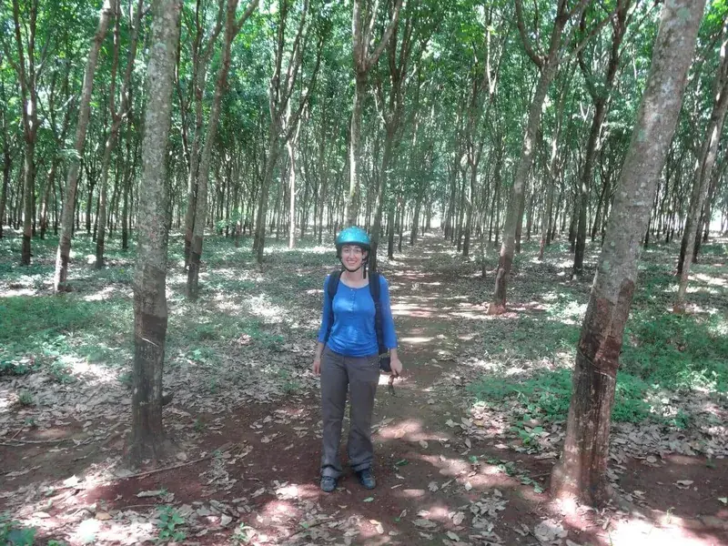 Une femme en tee-shirt bleu, debout au milieu d'une plantation d'hévéas alignés