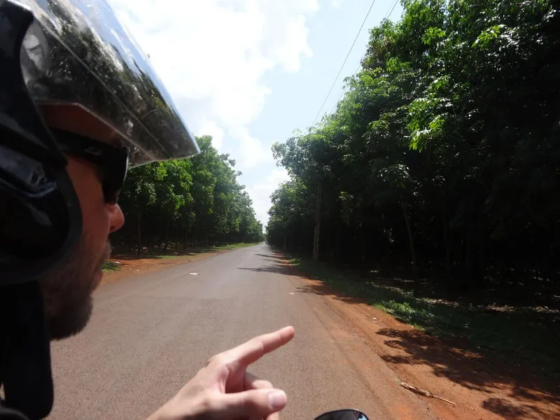 Vue depuis un scooter : un homme casqué montre du doigt une route bordée d'arbres, au Cambodge