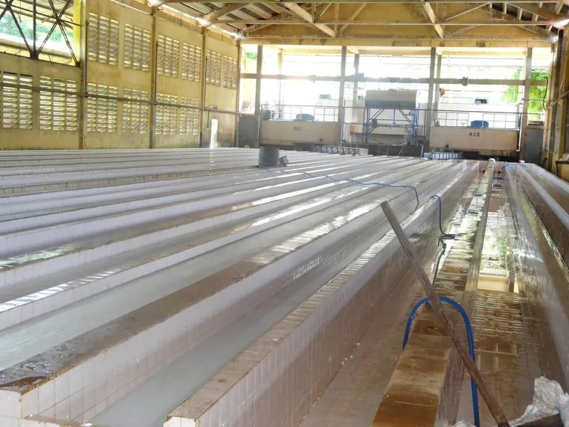 L'intérieur d'une usine de latex : de longs bacs de coulage alignés sous une charpente métallique