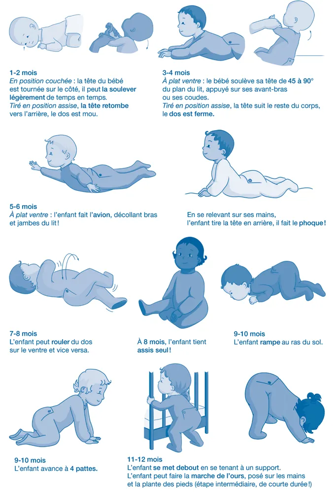 Illustration des étapes du développement moteur de bébé de 1 à 12 mois : tenue de tête, appui sur les avant-bras, position de l'avion, retournement, station assise, quatre pattes, marche de l'ours, station debout avec appui