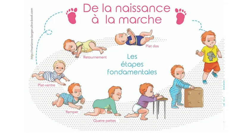 Illustration « De la naissance à la marche, les étapes fondamentales » : bébé sur le dos, qui se retourne, sur le ventre, qui rampe, à quatre pattes, qui se hisse debout contre un meuble puis qui marche